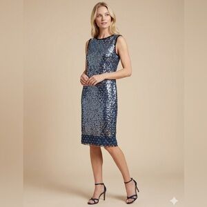 0306 - Hilary Radley Sequin Sheath Sample Dress